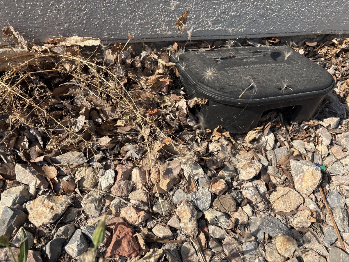 Closed bait station sitting in leaf debris and gravel